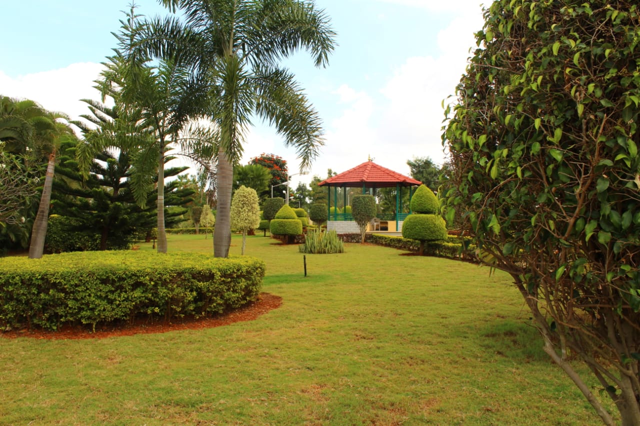 Apple Heights - Garden 2