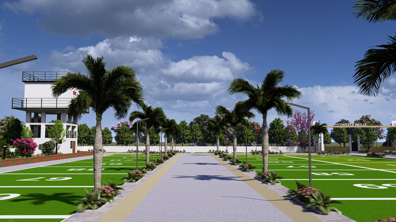 Internal plot road